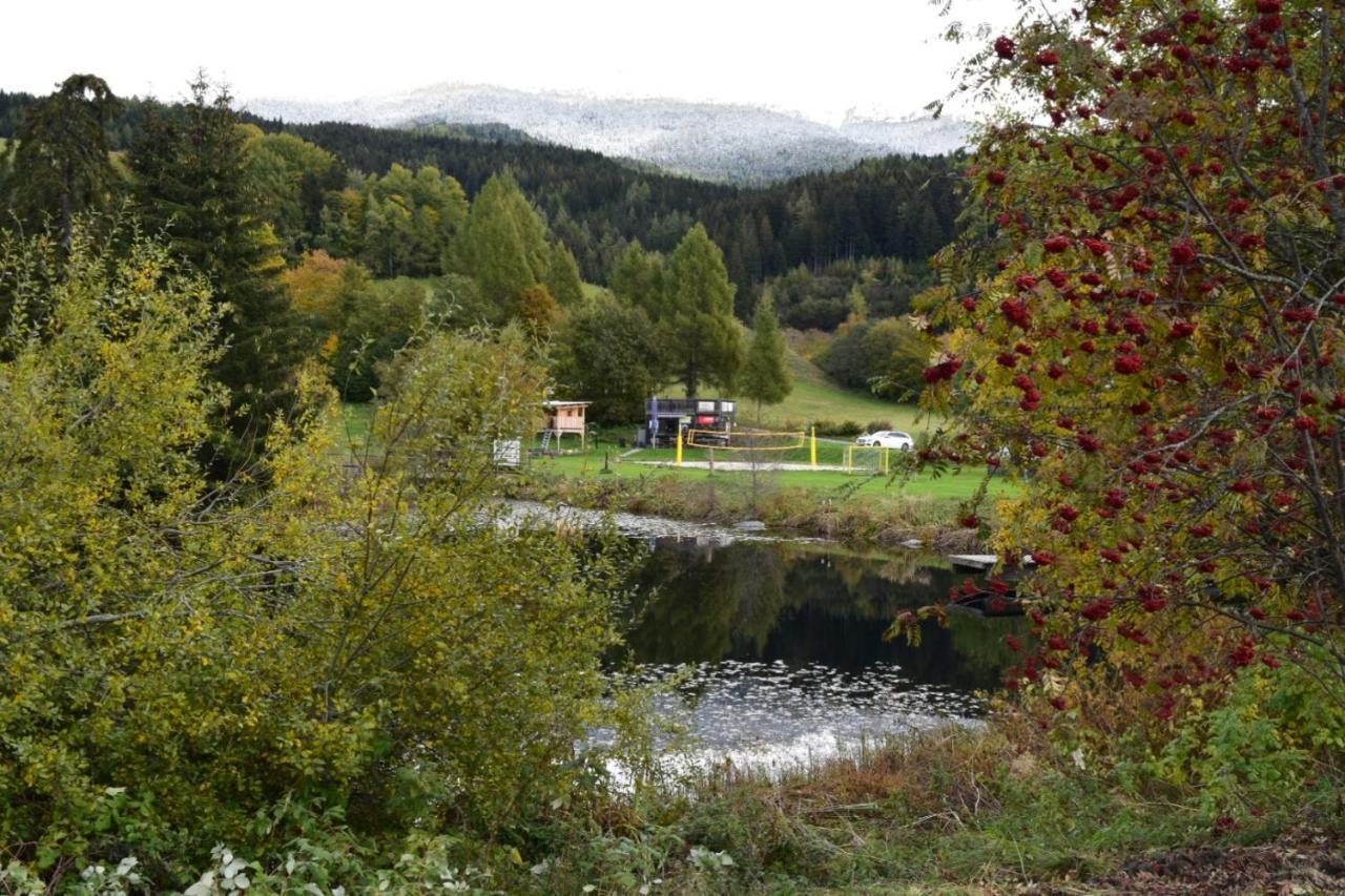 Ferienwohnung Familie Pichler Neumarkt in Steiermark Buitenkant foto