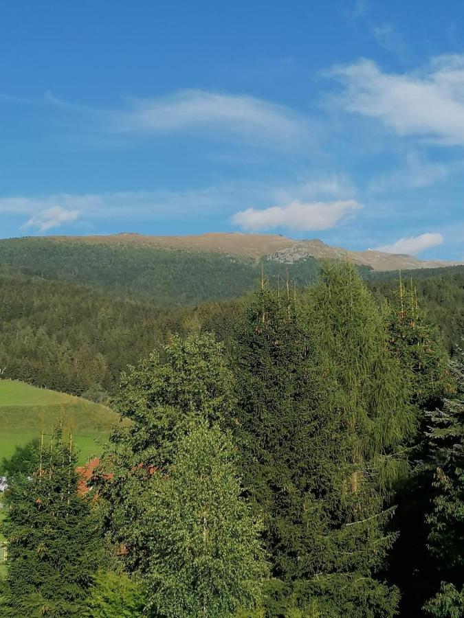 Ferienwohnung Familie Pichler Neumarkt in Steiermark Buitenkant foto