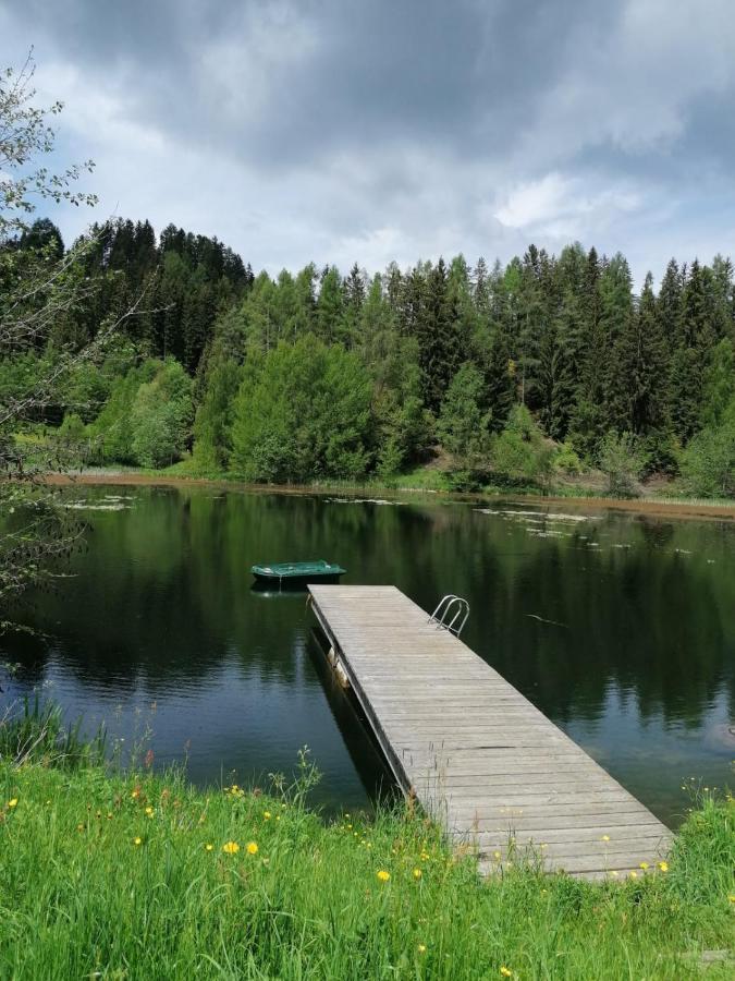 Ferienwohnung Familie Pichler Neumarkt in Steiermark Buitenkant foto
