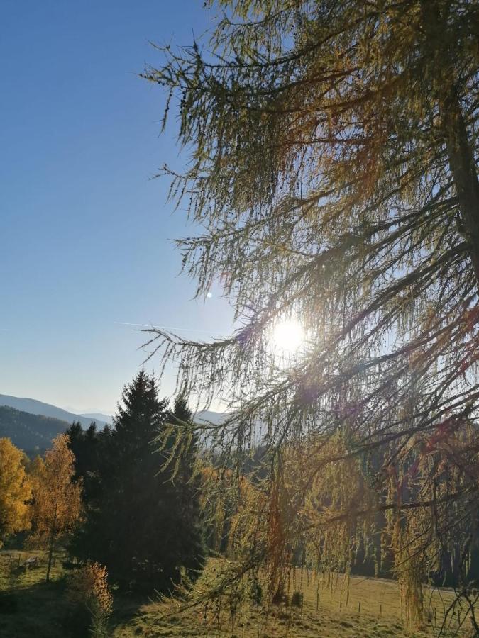 Ferienwohnung Familie Pichler Neumarkt in Steiermark Buitenkant foto