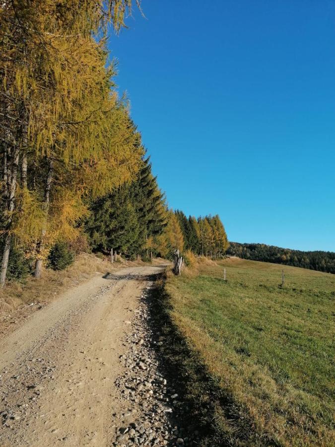 Ferienwohnung Familie Pichler Neumarkt in Steiermark Buitenkant foto